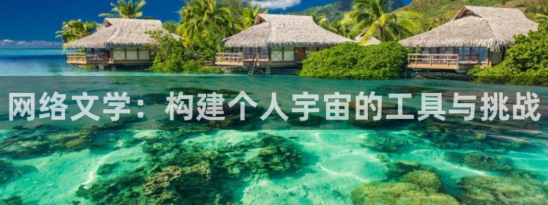 楚新钓同人小说：网络文学：构建个人宇宙的工具与挑战
