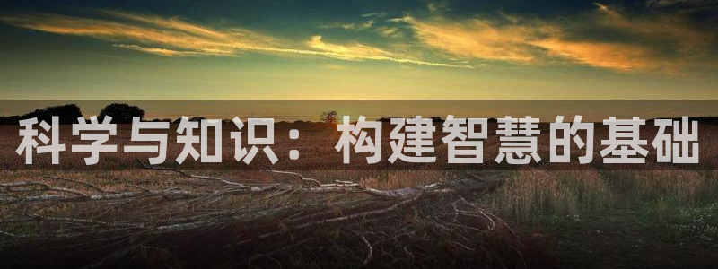 him同人小说：科学与知识：构建智慧的基础